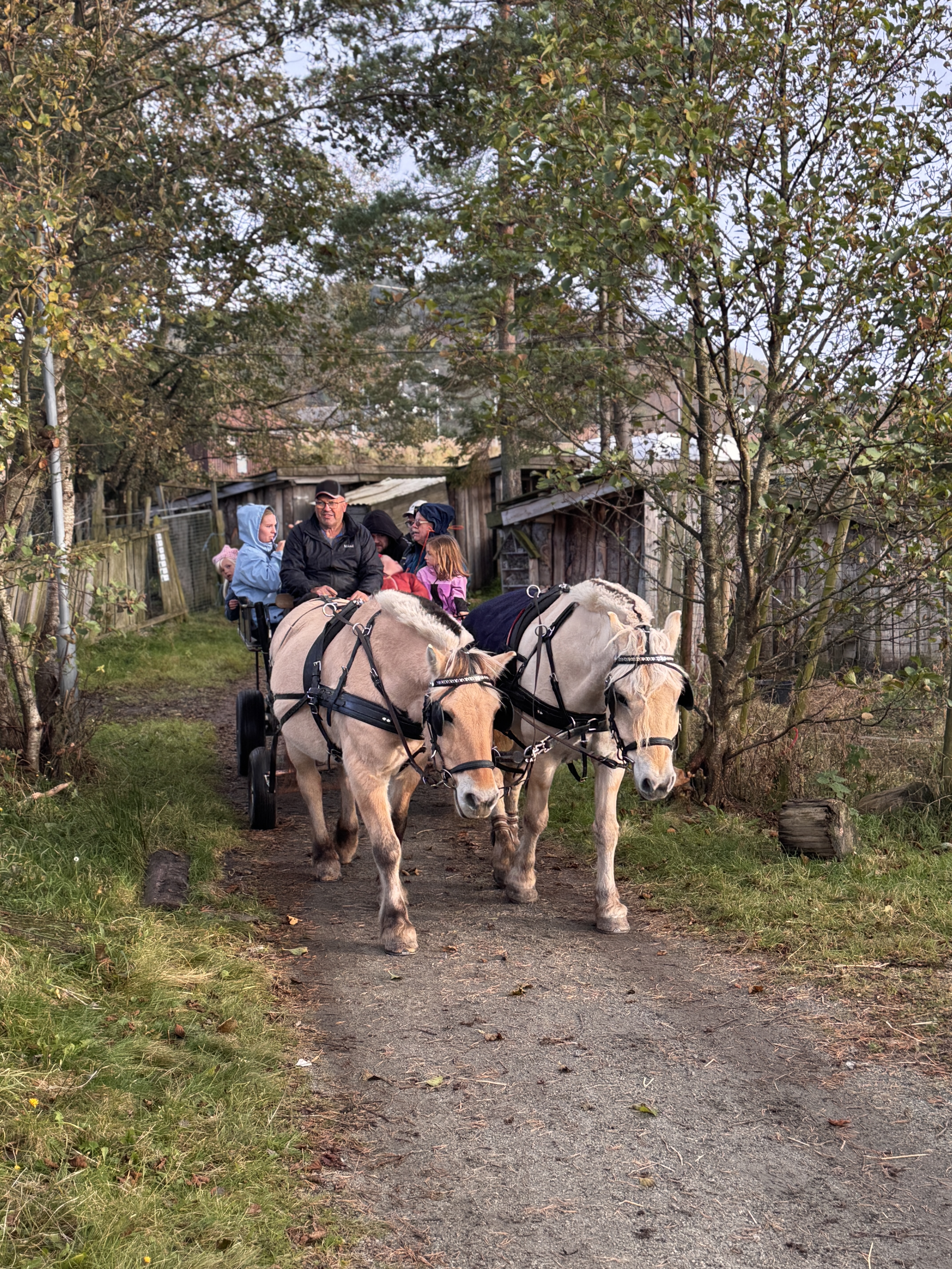 Justøydag på Røyrvik gård